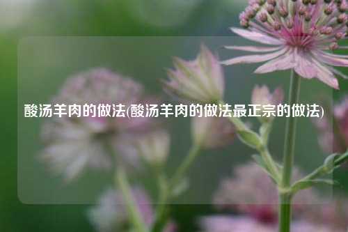 酸汤羊肉的做法(酸汤羊肉的做法最正宗的做法)
