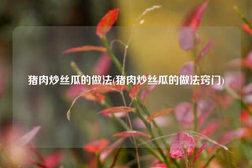 猪肉炒丝瓜的做法(猪肉炒丝瓜的做法窍门)