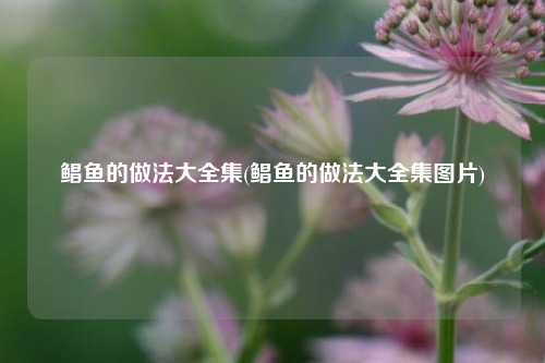 鲳鱼的做法大全集(鲳鱼的做法大全集图片)