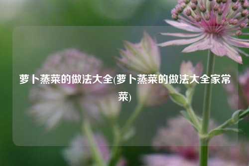 萝卜蒸菜的做法大全(萝卜蒸菜的做法大全家常菜)