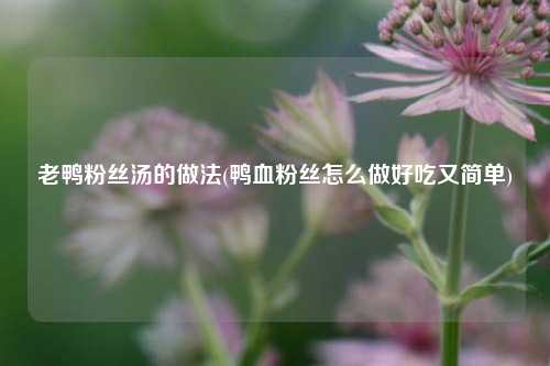 老鸭粉丝汤的做法(鸭血粉丝怎么做好吃又简单)