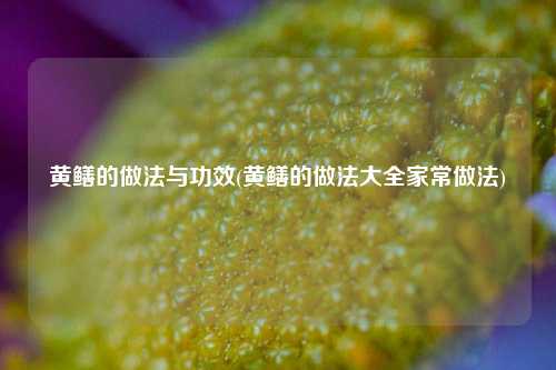 黄鳝的做法与功效(黄鳝的做法大全家常做法)
