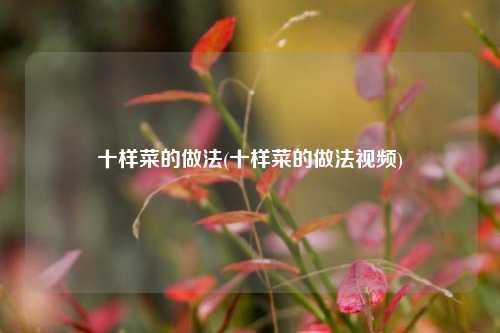 十样菜的做法(十样菜的做法视频)