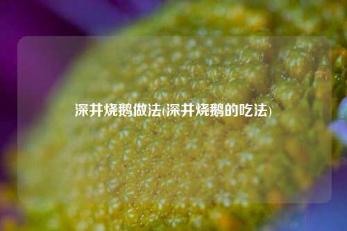 深井烧鹅做法(深井烧鹅的吃法)
