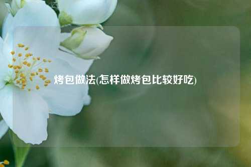 烤包做法(怎样做烤包比较好吃)