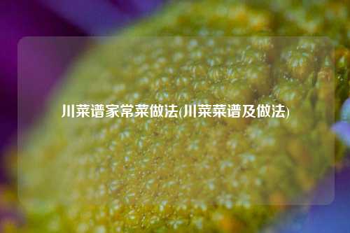 川菜谱家常菜做法(川菜菜谱及做法)