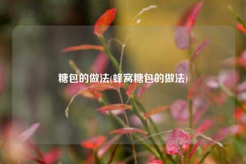 糖包的做法(蜂窝糖包的做法)