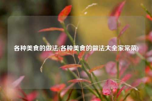各种美食的做法(各种美食的做法大全家常菜)