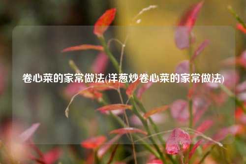 卷心菜的家常做法(洋葱炒卷心菜的家常做法)