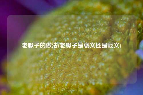 老臊子的做法(老臊子是褒义还是贬义)