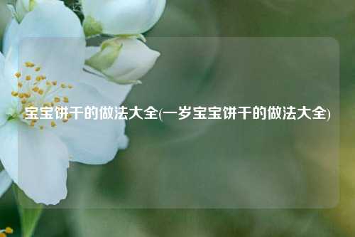 宝宝饼干的做法大全(一岁宝宝饼干的做法大全)